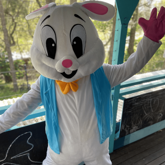 Easter Bunny Adventure - Feature Image