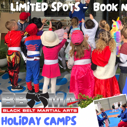 Karate School Holiday Camp - Feature Image
