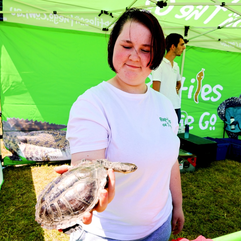 Mobile Zoo 1 Hour Experience - Gallery Image 3