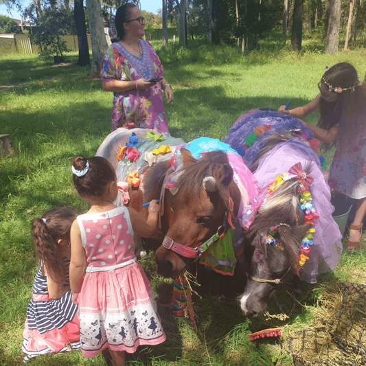 Pony and Face-painting Party - Gallery Image 3