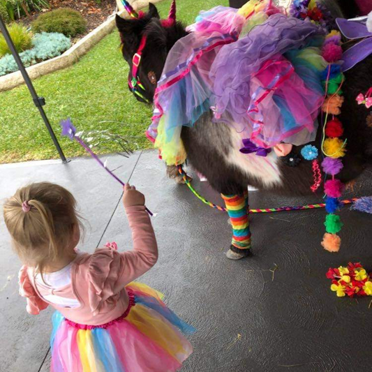 Pony Painting Party - Gallery Image 3