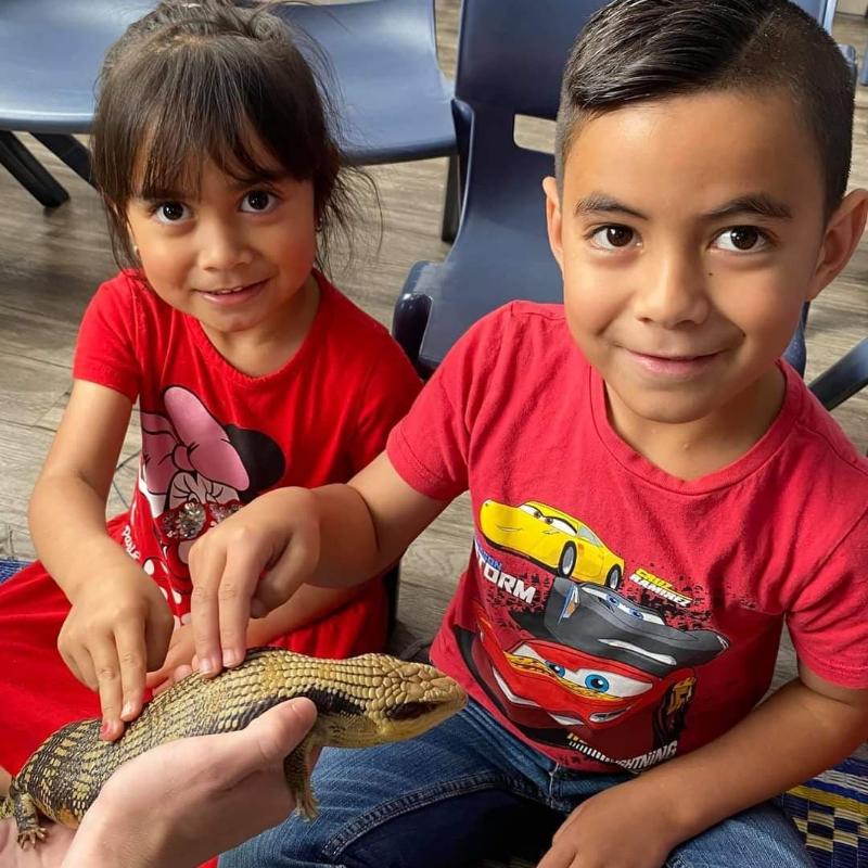 Reptilian Birthday Party Adventure - Gallery Image 4