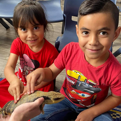 Reptilian Birthday Party Adventure - Gallery Image 4