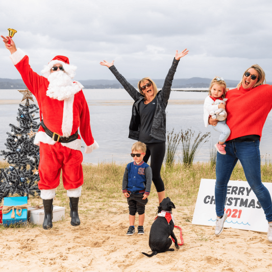 Santa and Elf Appearance or Christmas in July - Gallery Image 1