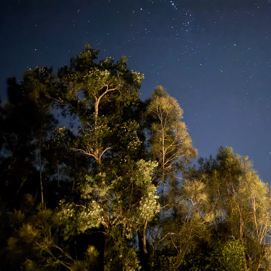 Test package- internal - Feature Image