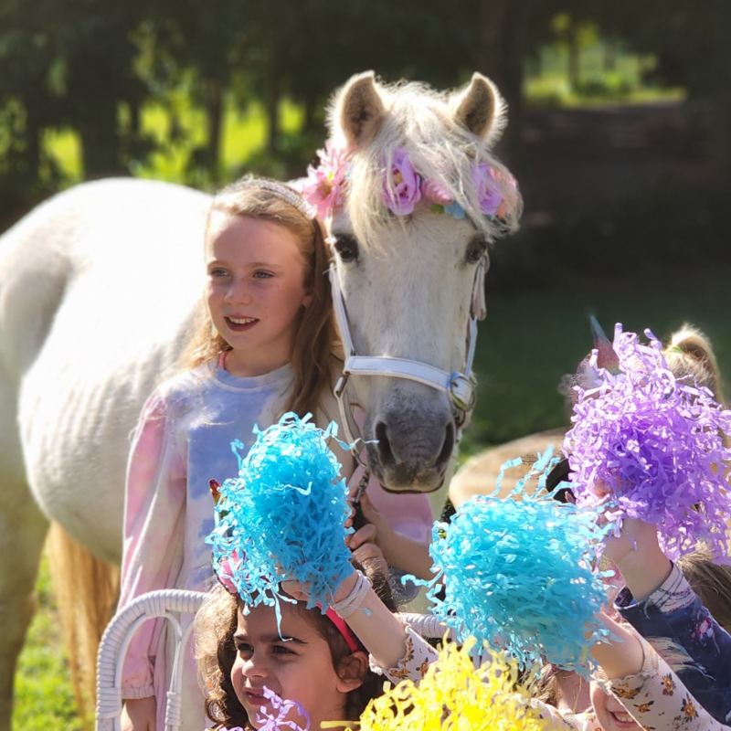 Unicorn and pony birthday parties - Gallery Image 1