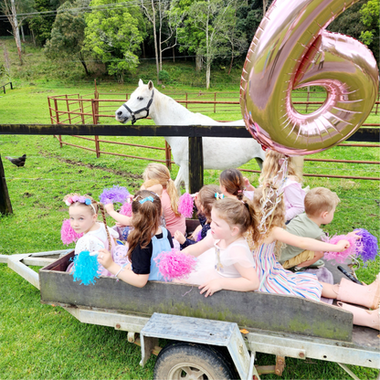 Unicorn and pony birthday parties - Gallery Image 4