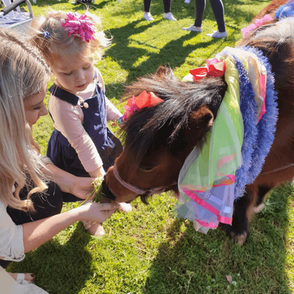 Unicorn Party - Gallery Image 3